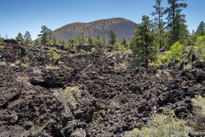 Sunset Crater Lava 2